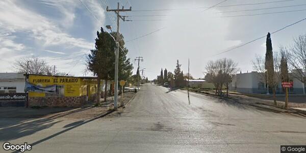 INSPECCIÓN GANADERA Y FORESTAL